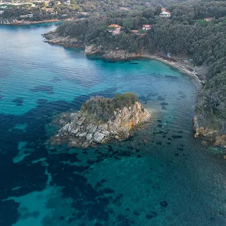 Venere Paolina - Goelba Marciana (Isola d'Elba)